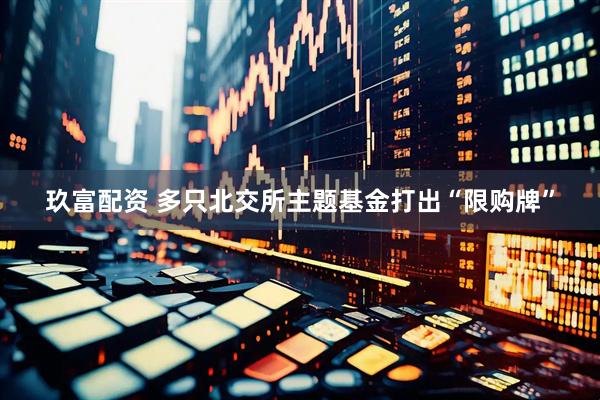玖富配资 多只北交所主题基金打出“限购牌”