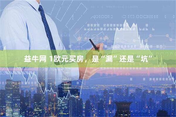 益牛网 1欧元买房，是“漏”还是“坑”