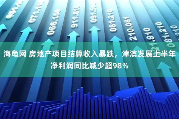 海龟网 房地产项目结算收入暴跌，津滨发展上半年净利润同比减少超98%