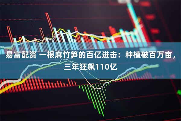 易富配资 一根麻竹笋的百亿进击：种植破百万亩，三年狂飙110亿