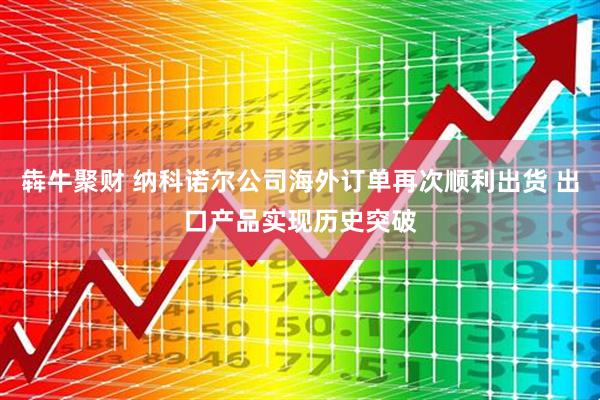 犇牛聚财 纳科诺尔公司海外订单再次顺利出货 出口产品实现历史突破